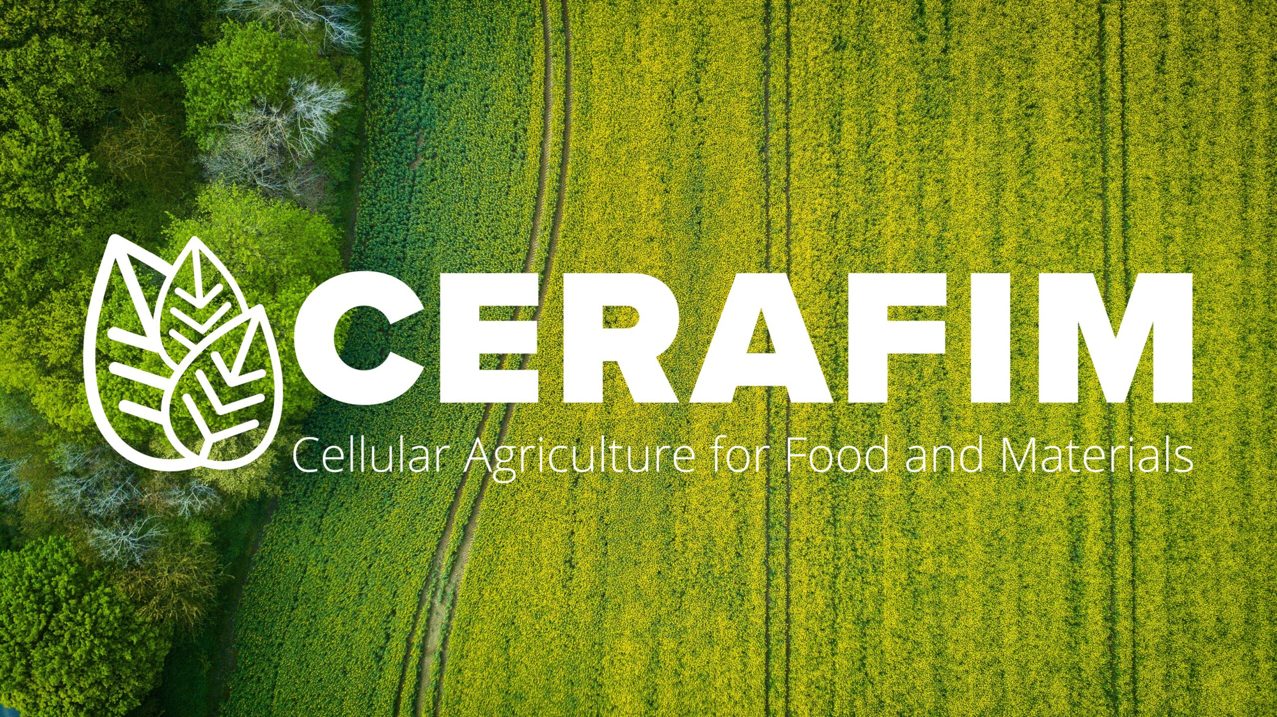 CERAFIM project explored the breakthrough potential of the emerging Finnish cellular agriculture ecosystem as one of the forerunners in green transition and circular economy 