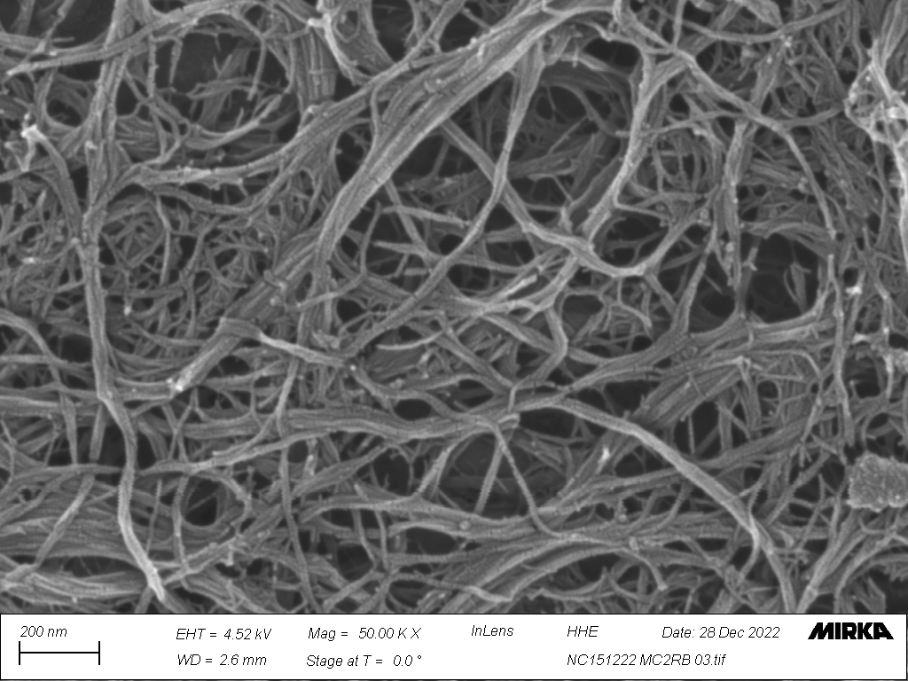 HydBondCell project envisioned to develop novel filter materials by unlocking the potential of controlling the hydrogen bonding of cellulose structures